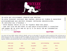 Tablet Screenshot of enculee-a-sec.com